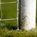 Martin Paterson is the new manager of Notts County