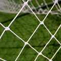 Harrogate Town vs Notts County highlights